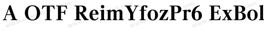 A OTF ReimYfozPr6 ExBold字体转换